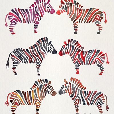 Cat Coquillette (Zebras) , 40 x 50cm , WDC94850
