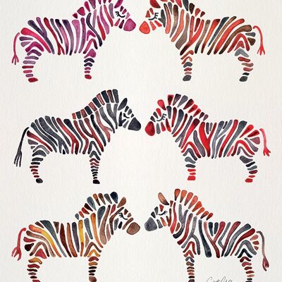 Cat Coquillette (Zebras) , 40 x 50cm , WDC94850
