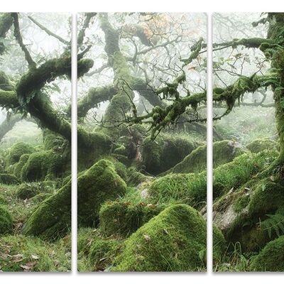 David Clapp (Wistman's Wood, Dartmoor) , 100 x 150cm , WDCT93234