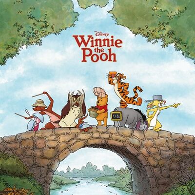 Winnie The Pooh , 30 x 40cm , WDC92483
