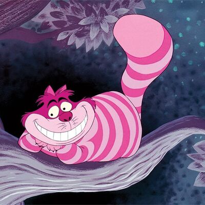 Alice in Wonderland (Cheshire Cat) , 60 x 80cm , WDC90761