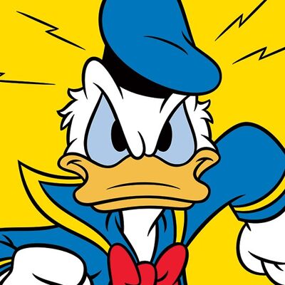 Donald Duck (Mad) , 30 x 40cm , WDC92288