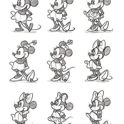 Minnie Mouse (Sketched - Multi) , 30 x 40cm , WDC92283