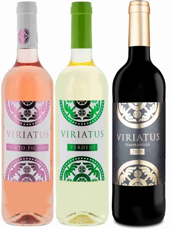 Vin Blanco Viratus Verdejo 100% 2