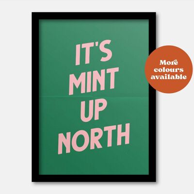 It's mint up north print Pink A5