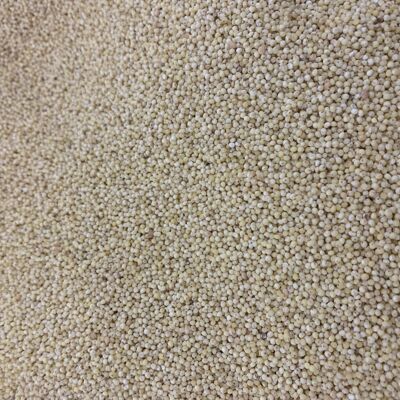 millet bio 5kg