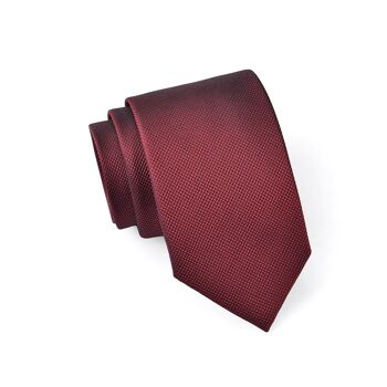 Cravates en soie | diverses couleurs - bordeaux-noir fin 1