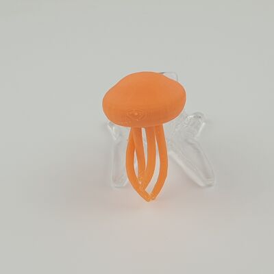 Jellyfish