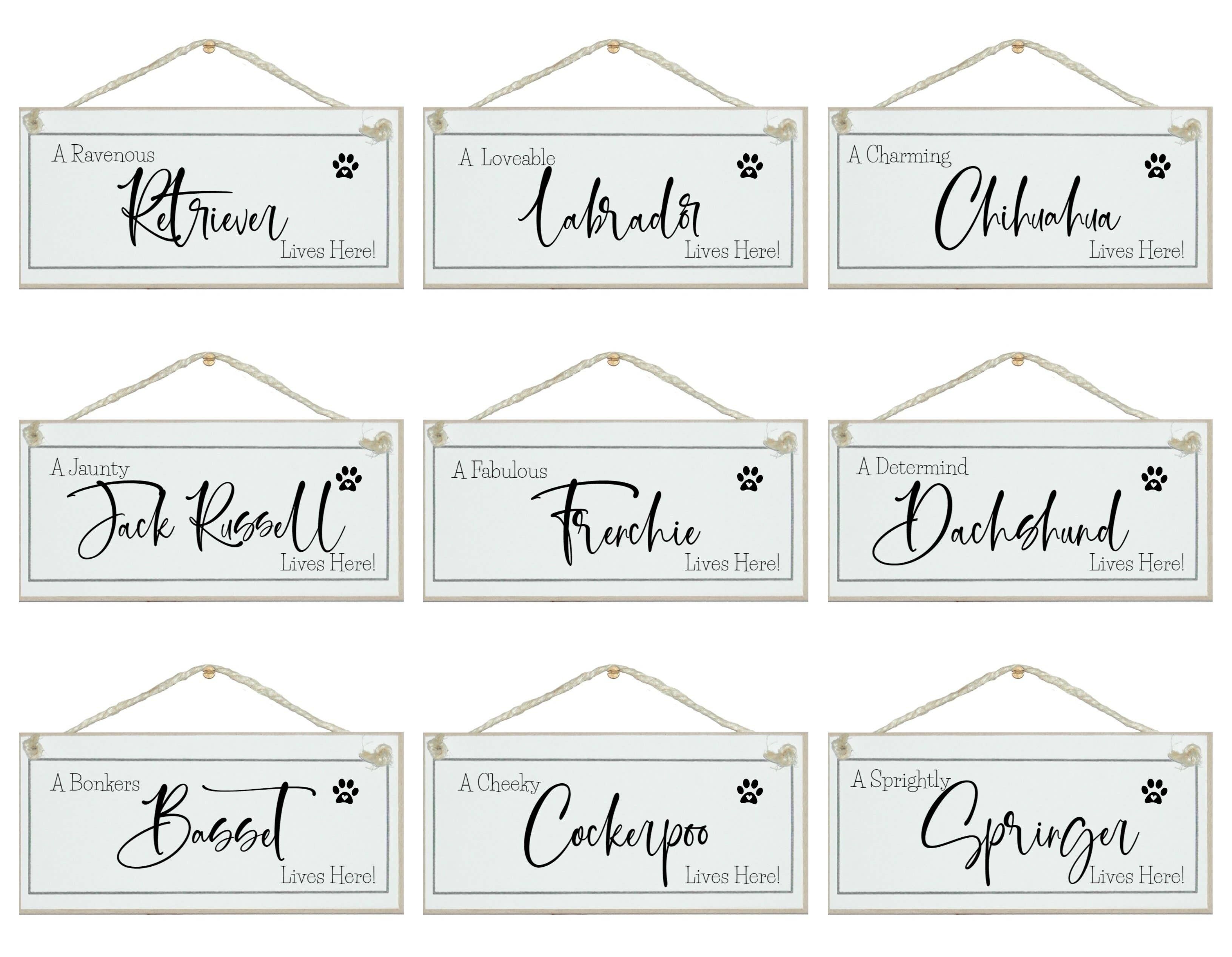 A.....raza de perro, vive aquí Signos de animales de perro |Lurcher