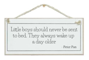 Les garçons se réveillent un jour plus vieux. Signes de citation de Peter Pan