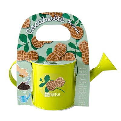 Mini green watering can with peanut seeds