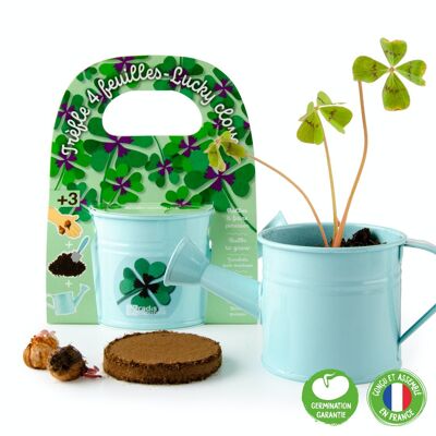 Mini blue watering can with clover seeds
