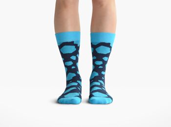 Chaussettes Arctic melt Bleu / Mint 2