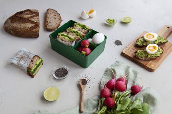 Lunch Box, Trois Compartiments, Ours, (Vert foncé) 4