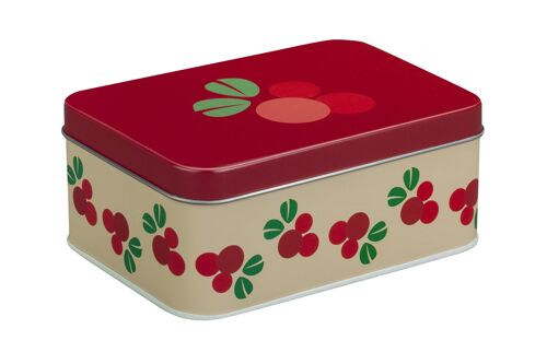Rectangular Tin Box, Cranberry