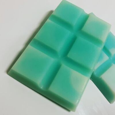 Tropical Fizz Wax Melts / 80g Bars x 10