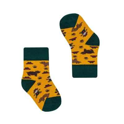 Bears Socks for Kids