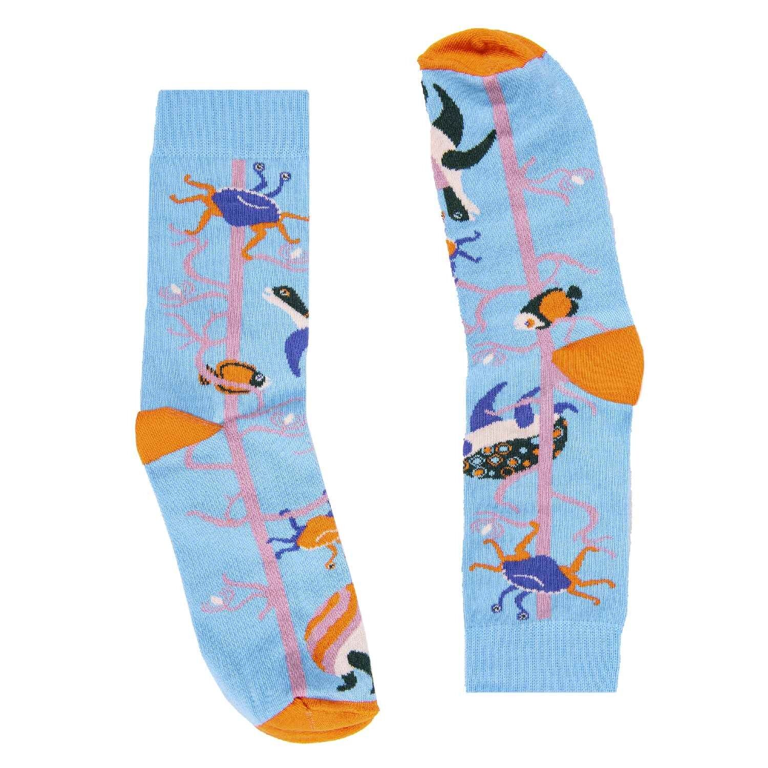 Calzini della barriera corallina