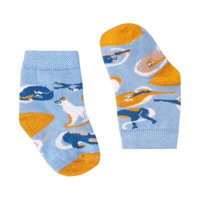 Cats Socks for Kids from Egyptian collection