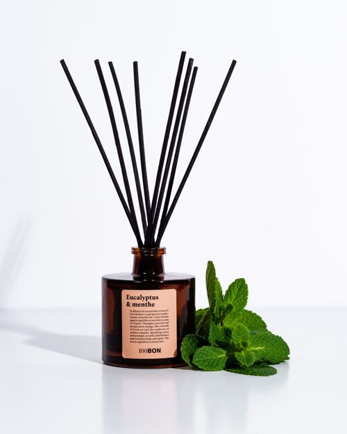 Eucalyptus & Menthe -  Bouquet parfumé 100ml