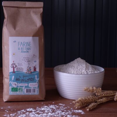 White flour (type 65) 25 kg