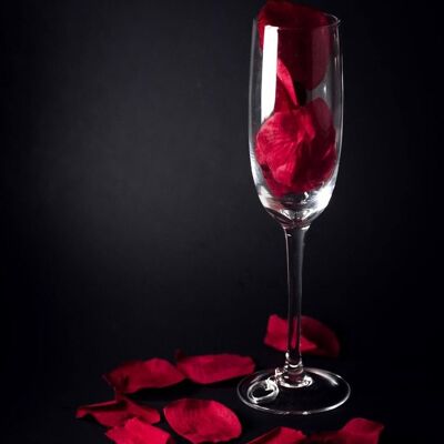 Champagne Rosa Fragrance Oil - 250ml