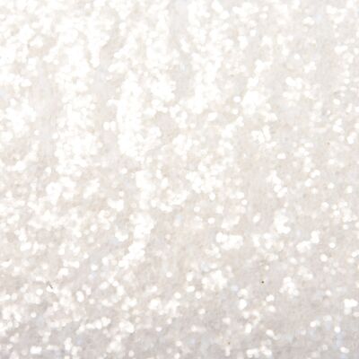 Snow Queen - Eco Glitter