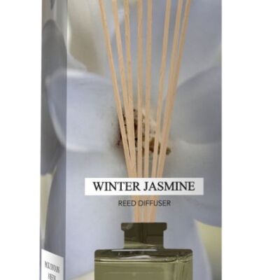 Winter Jasmine 100ml