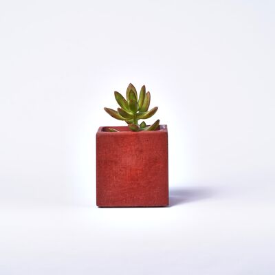 Concrete pot for indoor plant - Concrete Brick