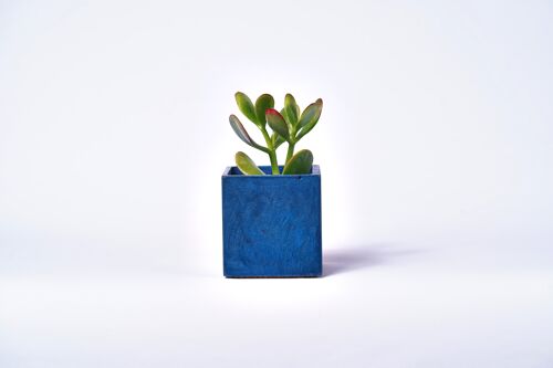 Pot en béton pour plante d'intérieur - Béton Bleu Pétrole