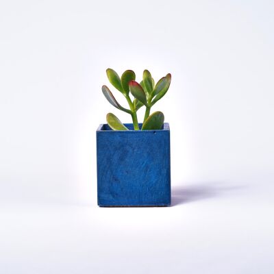 Pot en béton pour plante d'intérieur - Béton Bleu Pétrole