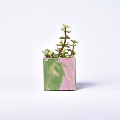 Vaso in cemento per piante da interno - cemento marmorizzato rosa e verde