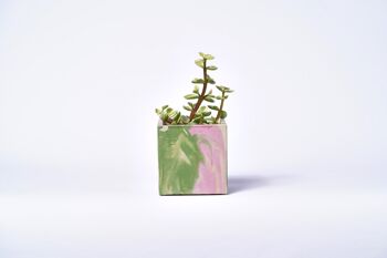 Pot en béton pour plante d'intérieur - Béton marbré Rose et Vert 1