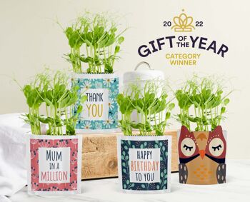Olive Owl Sustainable Growable Zoo Carte de vœux Cadeau de graines 5