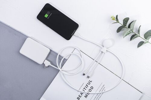 Batterie externe 🔋 Mr Bio Pack Long Powerpack Charge - Blanc