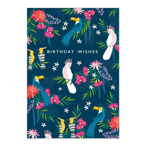 Birthday Cards | Happy Birthday Card | Pretty Tropical Birds Patterned Card