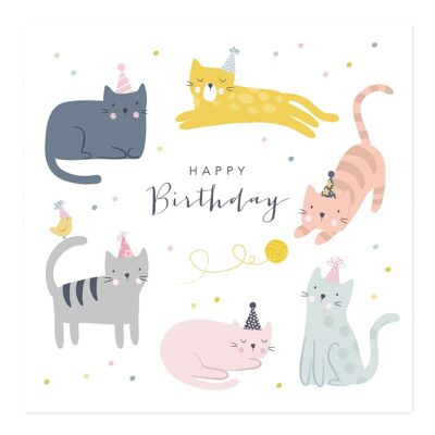 Tarjeta de cumpleaños | feliz cumpleaños | Bonita tarjeta de gatos de cumpleaños