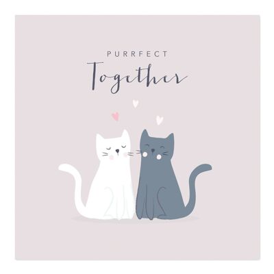 Greetings Card | Anniversary Card | Happy Anniversary | Happy Engagement | Cat Couple