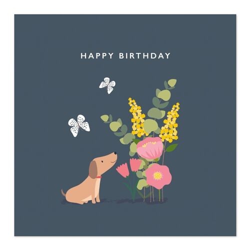 Birthday Card | Happy Birthday | Sausage Dog and Butterflies Card