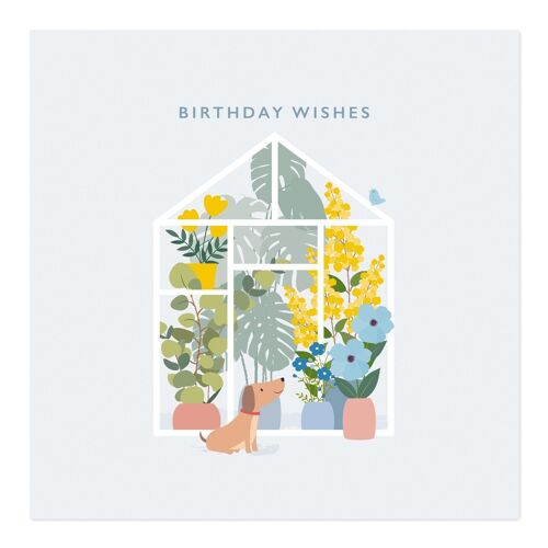 Birthday Card | Happy Birthday | Dog and Greenhouse Plants Card