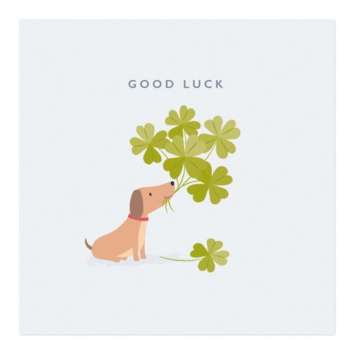 Greetings Card | Good Luck Card | Dog with Four Leaf Clovers