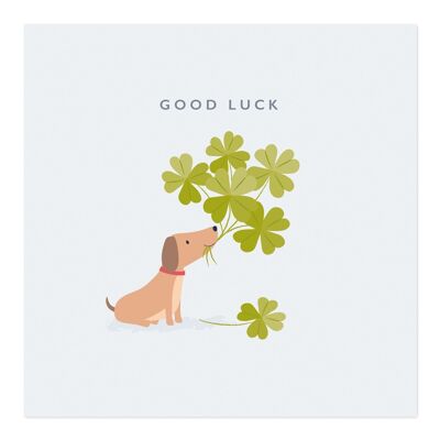 Greetings Card | Good Luck Card | Dog with Four Leaf Clovers