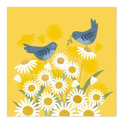 Tarjeta de felicitaciones | tarjeta de arte | Tarjeta en blanco | pájaros azules | campo de margaritas | Rama de olivo