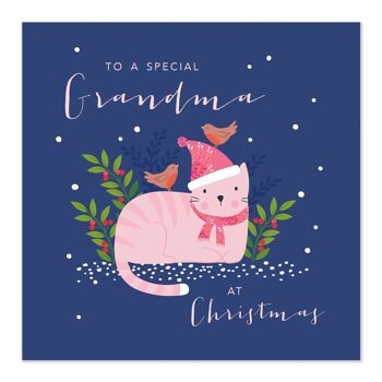 Carte de Noël | Joyeux Noël | Grand-mère spéciale | Carte chat 1