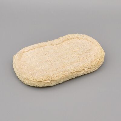 Loofah Shower Bar Shelf/Soap Dish