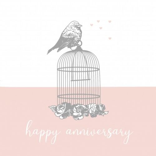 A1 Anniversary Birdcage