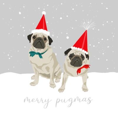 CH14 Felices Pugmas