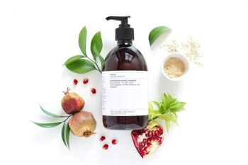 Superfood Shine Shampooing Naturel - Format Familial 2