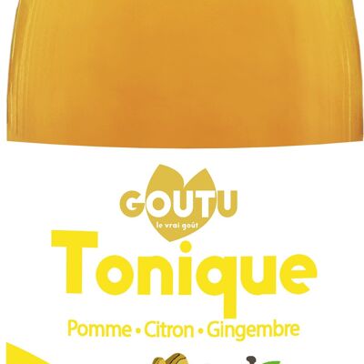 Infusion Tonique - Pomme Gingembre 25cl