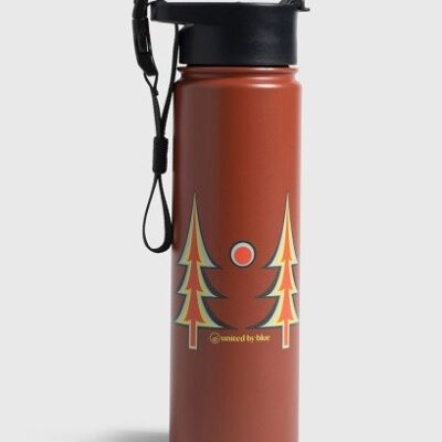 22oz insulated steel bottle cocoa
